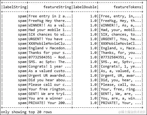 使用数据集进行预处理