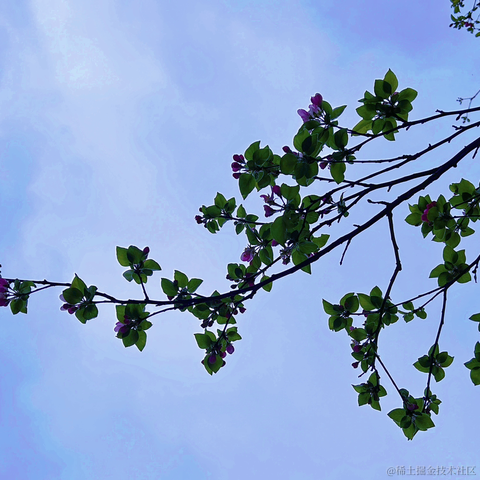 快乐的海绵宝宝于2023-03-20 13:12发布的图片