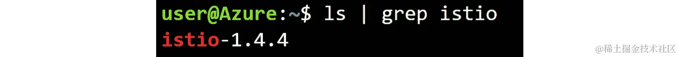 运行 ls | grepistio 命令显示正在运行的 Istio 版本号的输出。