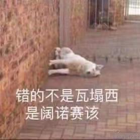 凯风自南来于2022-12-05 11:28发布的图片