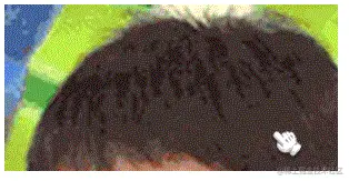 02.gif