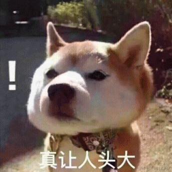 乌拉于2020-08-03 17:30发布的图片