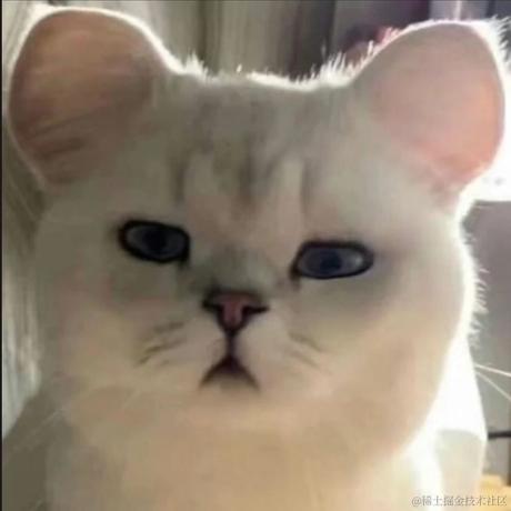 叨叨呀于2022-06-21 09:26发布的图片