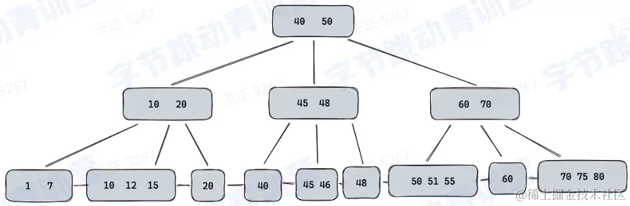 image-20230216213724748