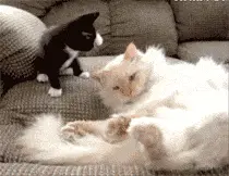 Python学习的十个阶段，学完大成，对应一下看看你自己在哪个阶段