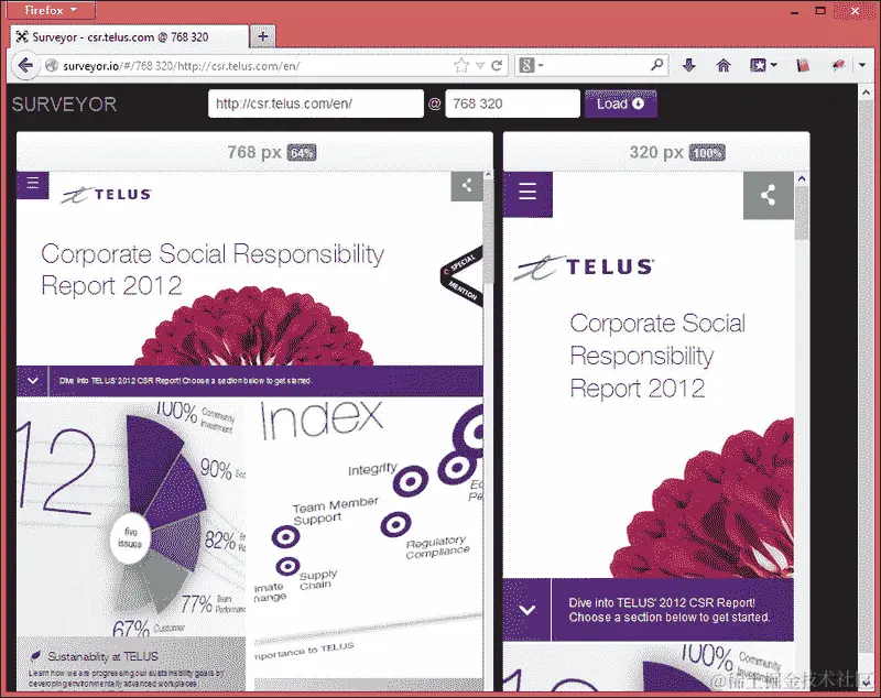 使用 Surveyor 网站工具