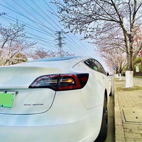 WT1668于2021-12-20 19:35发布的图片