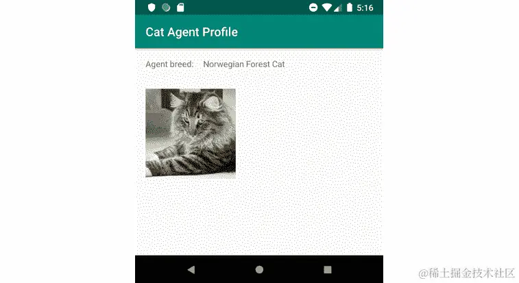 图 5.6：显示猫代理图像和品种