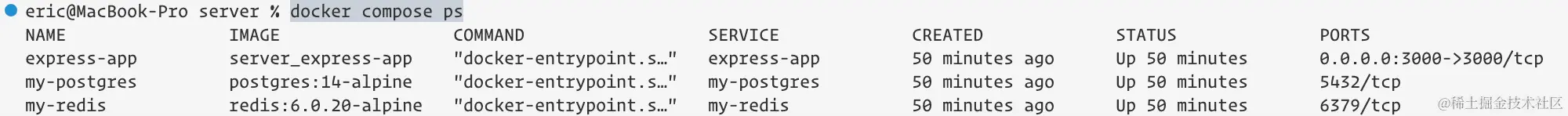docker compose ps