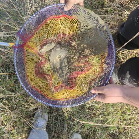 再多看一眼就会爆炸于2022-11-05 12:35发布的图片