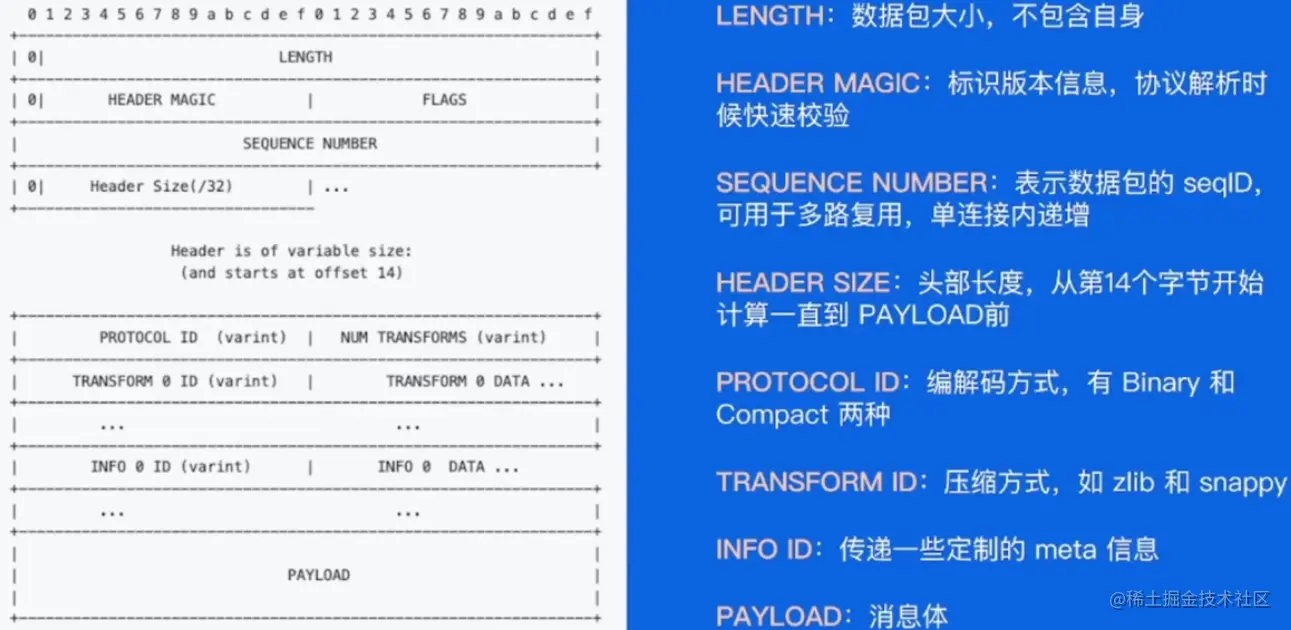 image-20230606130322337