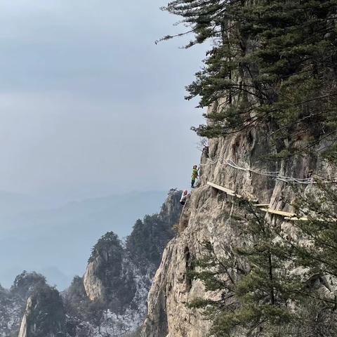 哄哄621于2023-01-23 19:06发布的图片