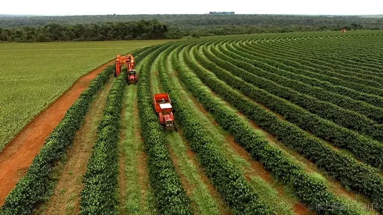 Brazilian-farmers_1536x768.jpg