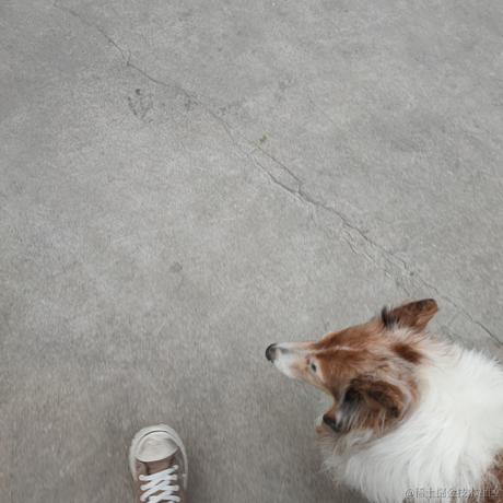 考研寒冰于2022-12-14 08:23发布的图片