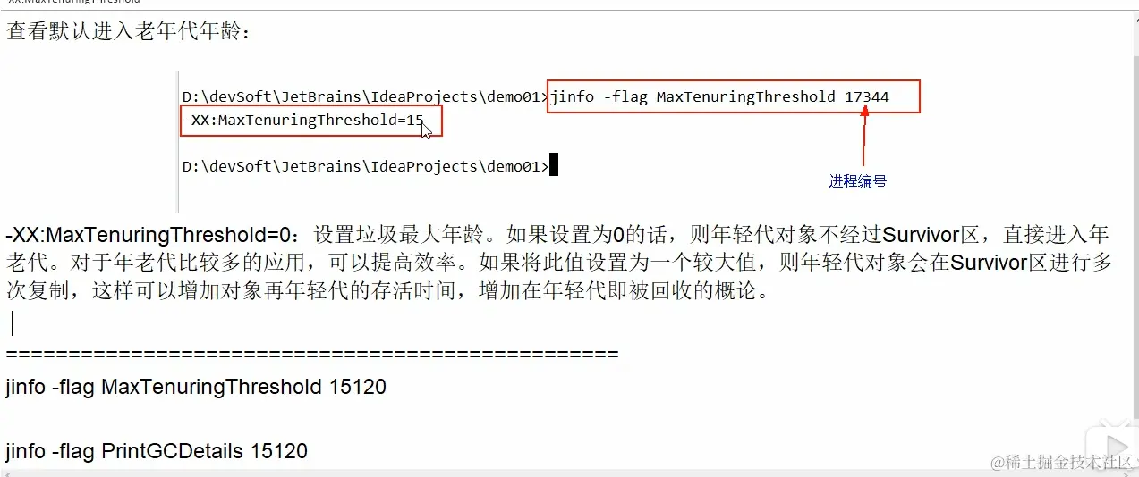 image-20240329193953258