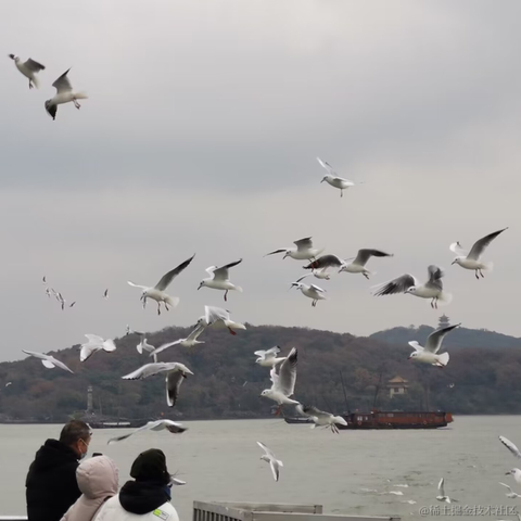 紫色的猪于2022-12-17 23:40发布的图片