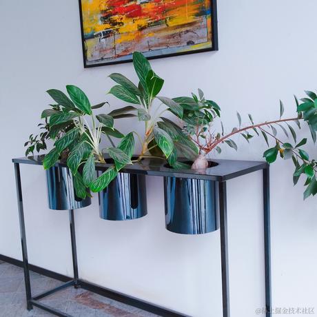 半月转转于2022-12-02 18:50发布的图片