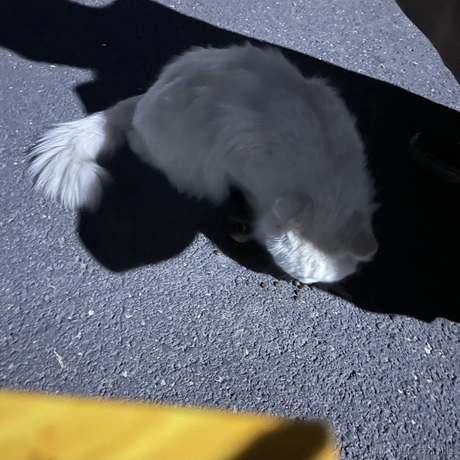 困了能睡觉吗于2023-05-19 20:47发布的图片