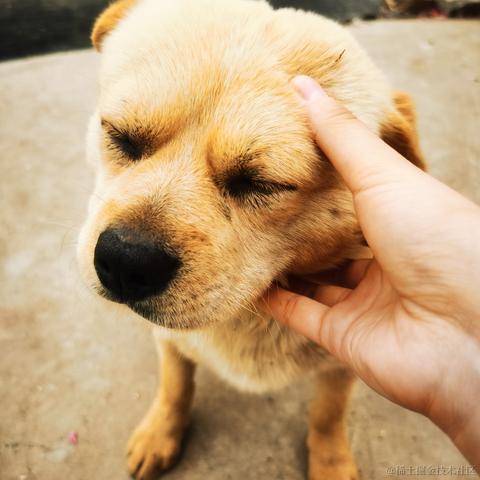 滨工柳于2023-04-05 14:05发布的图片