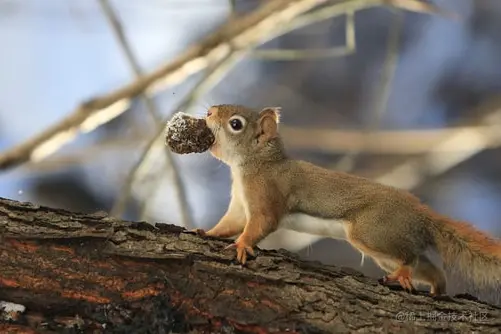 Marco Samaniego @ unsplash.com