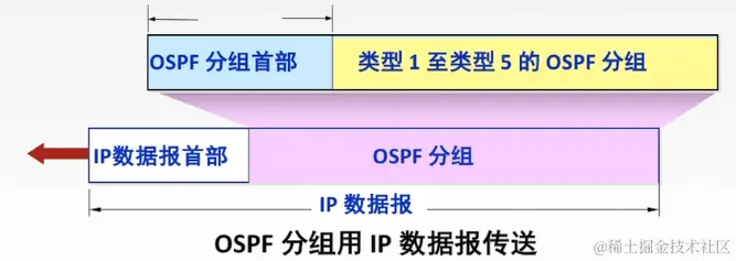 OSPF-报文格式