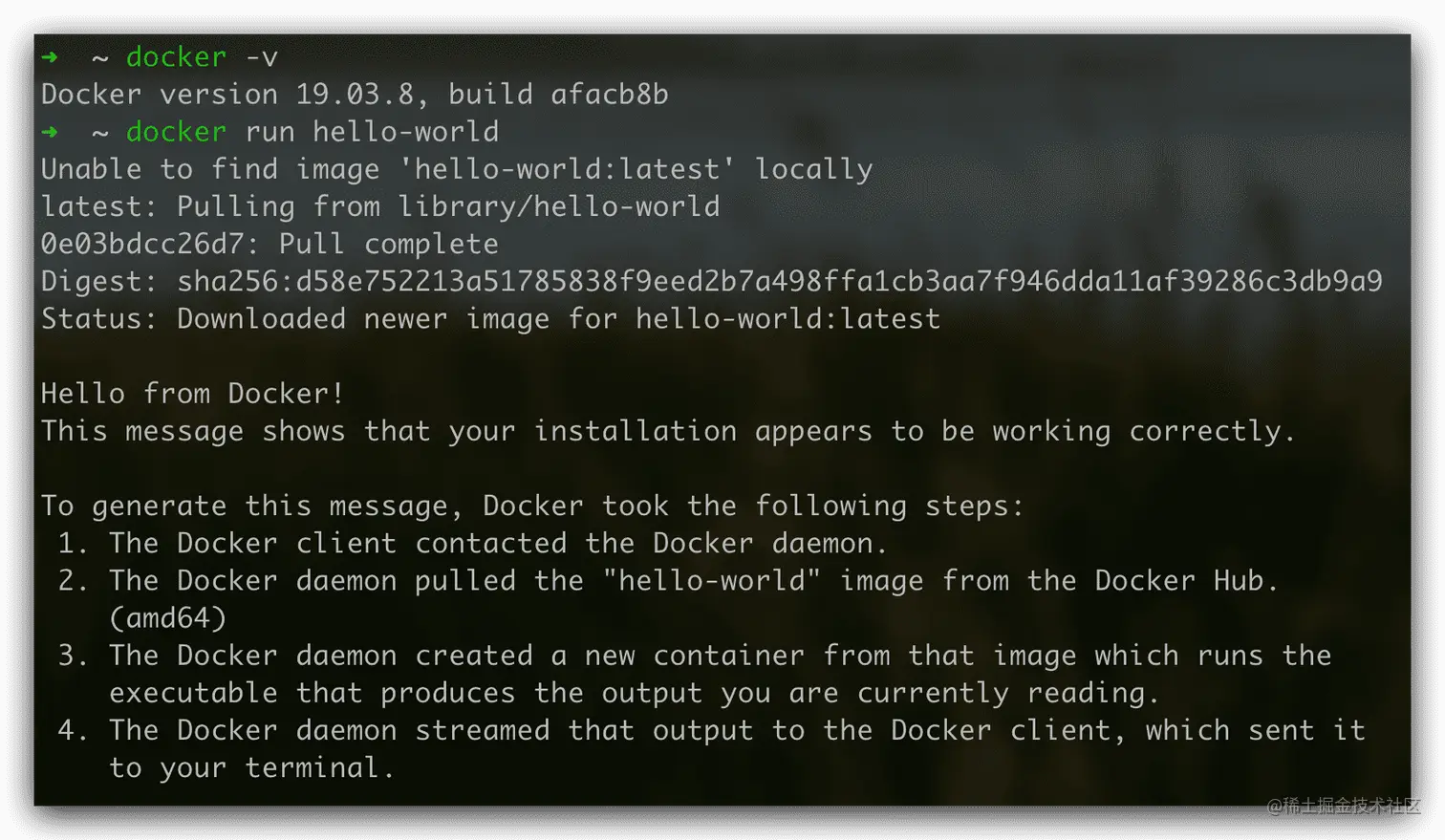 Docker跑起Helloworld