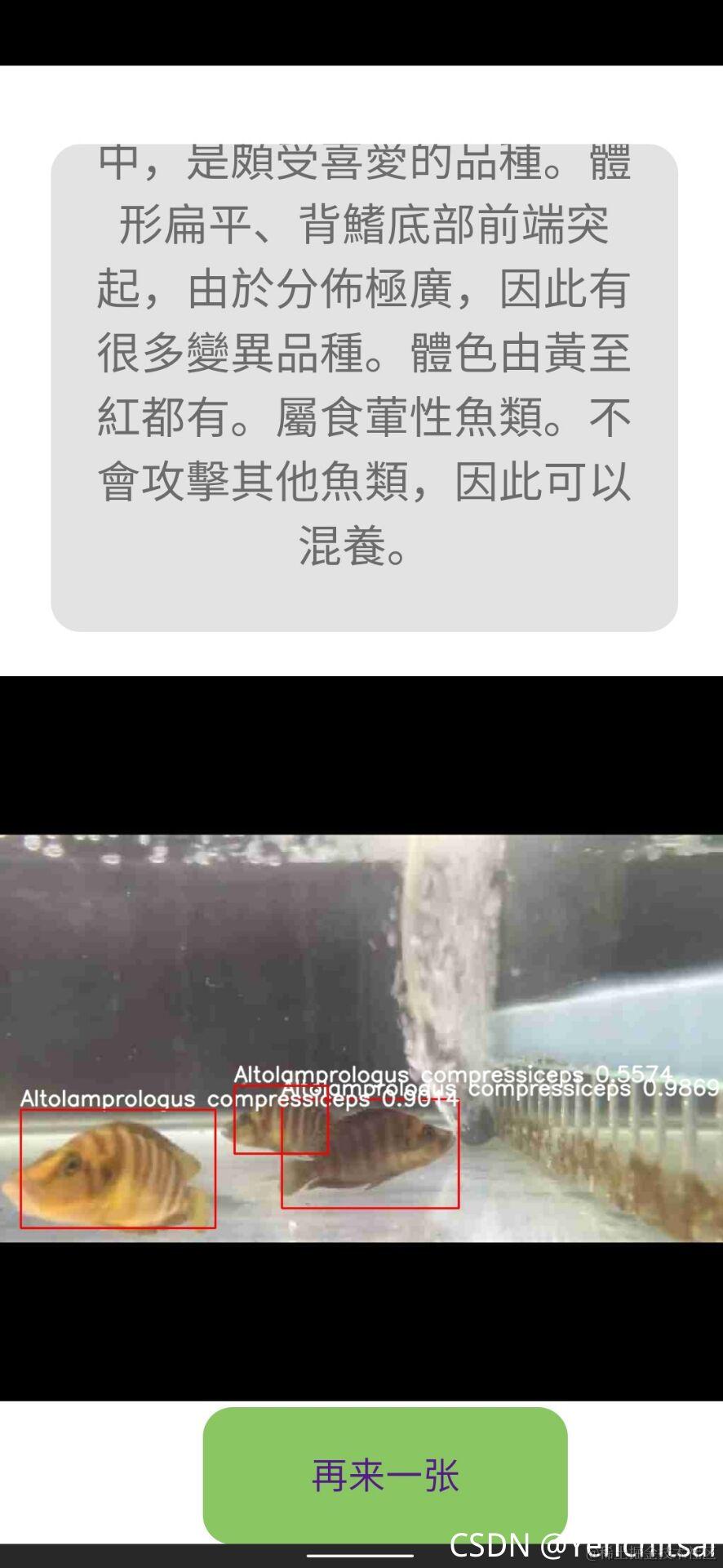 观赏鱼辨识系统操作画面