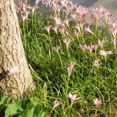 iosd于2022-12-04 21:11发布的图片