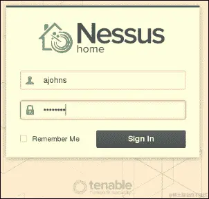 运行漏洞扫描器