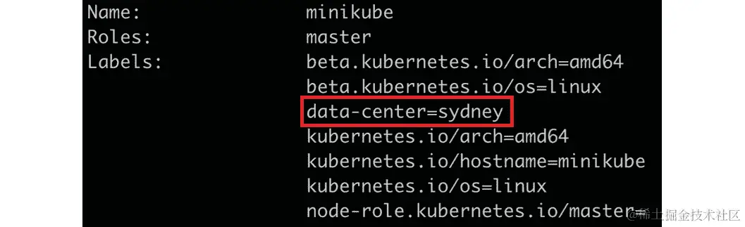 图 17.6：检查 minikube 节点上的标签