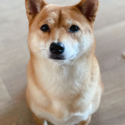 旧事随风于2022-09-02 10:36发布的图片