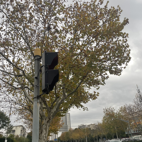 阿殷于2022-12-20 11:32发布的图片