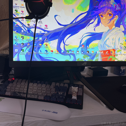 青魚大魔王于2023-03-02 12:54发布的图片