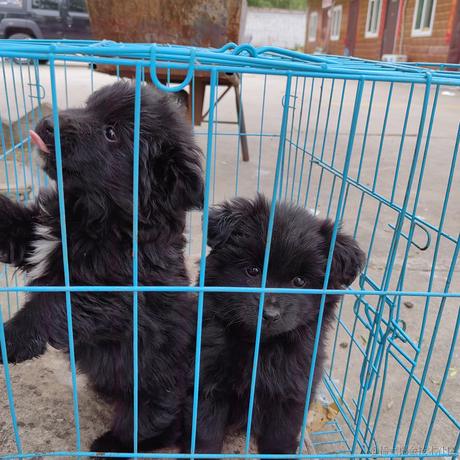 rU_u于2023-05-11 00:11发布的图片