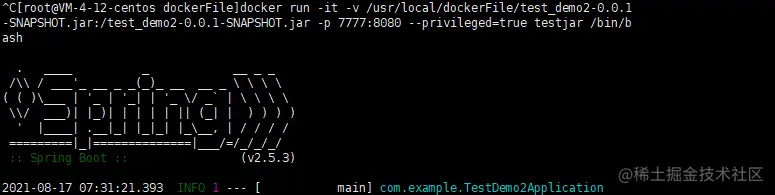 在这里插入图片描述