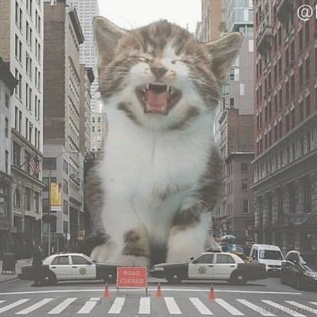 用户8263710920973于2021-09-30 02:46发布的图片