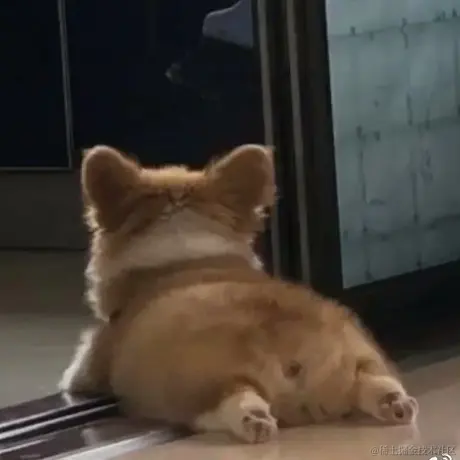 李小贱于2021-11-18 17:13发布的图片