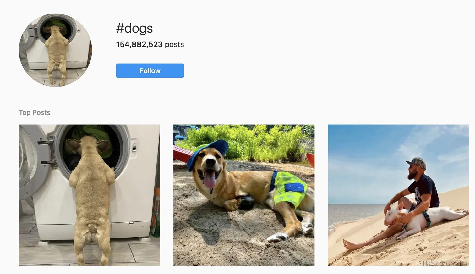 instagram 标签结果页面