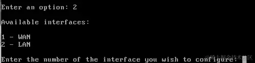 WAN IP configuration