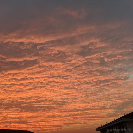 晚晚第一于2022-11-18 12:51发布的图片