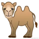 camel