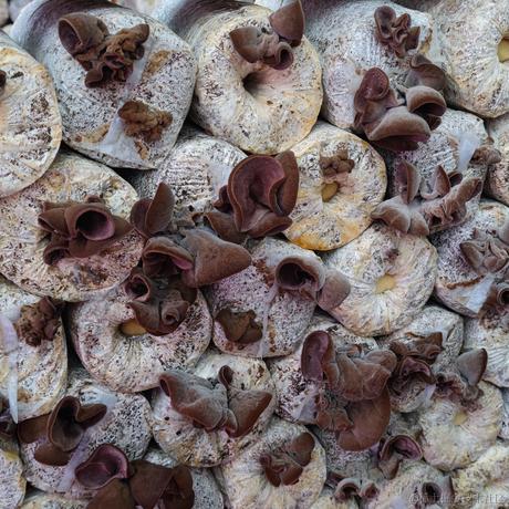 嘉晚今天吃乃贝于2022-12-07 22:52发布的图片