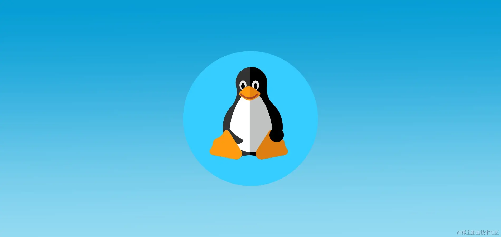 StatCounter: доля ОС Linux на десктопах впервые превысила отметку 3% -  Новости Timeweb Community