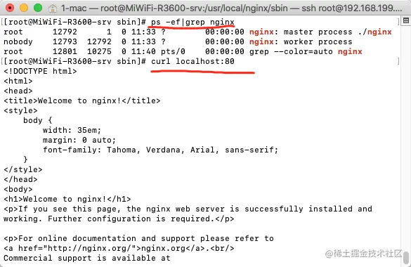 查看nginx 启动状态和访问80端口