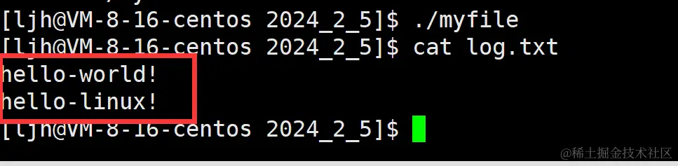 image-20240206004822152