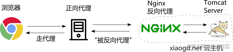 forward proxy then reverse proxy demo