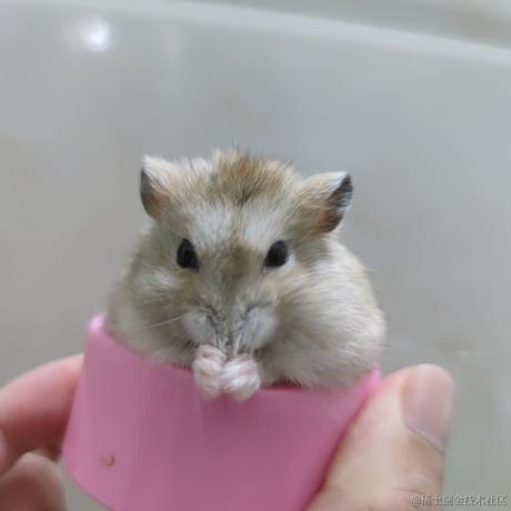 albri于2022-11-27 20:17发布的图片