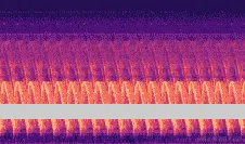 应用于随机 ESC-50 样本的频率掩码