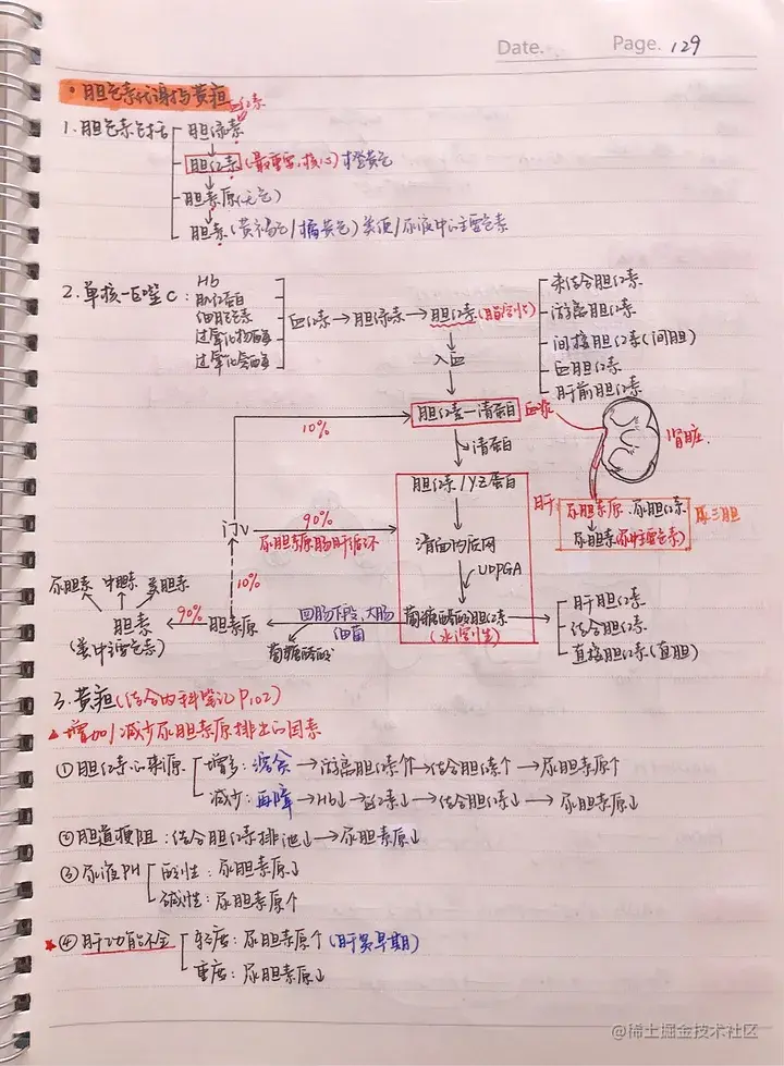 生化手写笔记.pdf