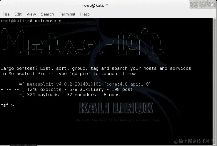 检测易受攻击的主机